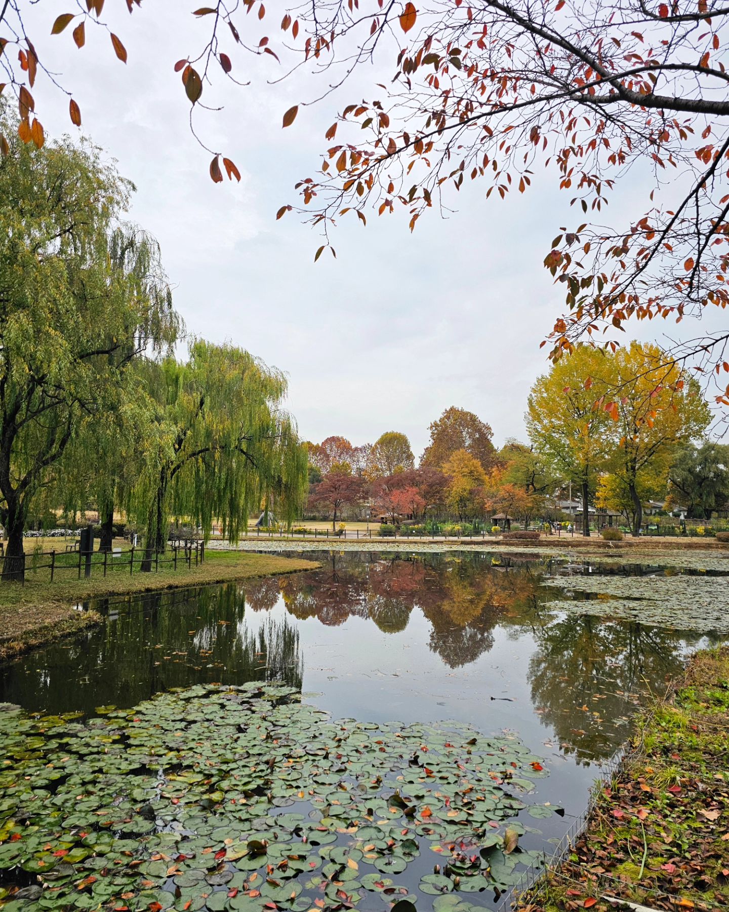 Autumn in Korea feels like stepping into a painting. ✨️🎨🖼